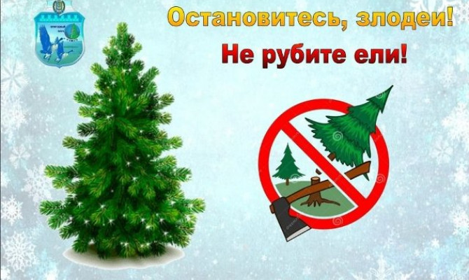 Экологический час 