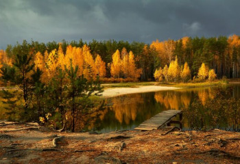 «Лес наше богатство». 