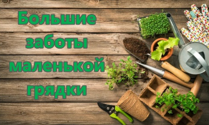 Большие заботы маленькой грядки