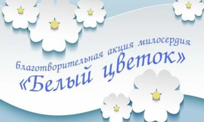 Белый цветок
