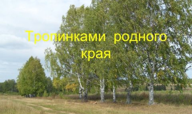 Краеведческое путешествие "Частица моей Родины. п.Копаня" Краеведческое путешествие