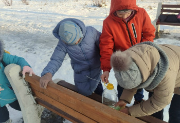 «Покормите птиц зимой»