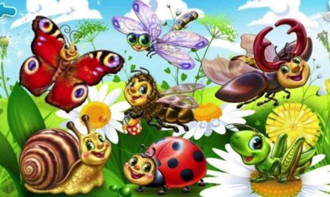 Экологический час "Я дружу с букашкой, птичкой и ромашкой" Экологический час