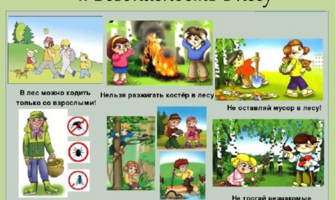 Информационный час