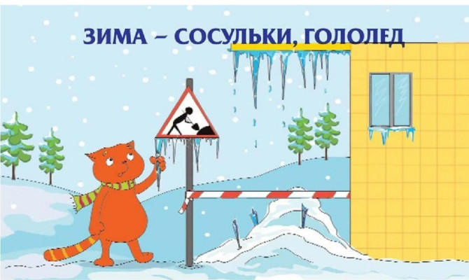 Познавательная программа