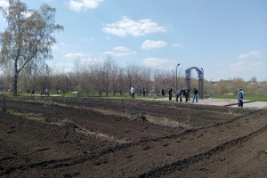 «Чистое село»