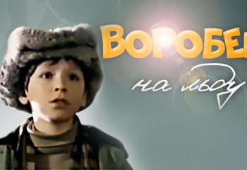 <<Воробей на льду>>