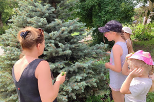 «С кузовком – лукошком по лесным дорожкам»