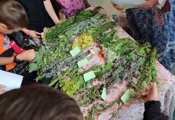 «В гостях у травницы» 
