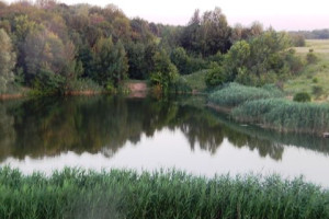 Фото - конкурс 