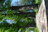 DSC_0060.JPG