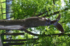DSC_0114.JPG