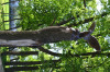 DSC_0114.JPG