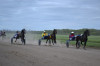 DSC_0145.jpg