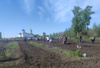  «Сад Победы»
