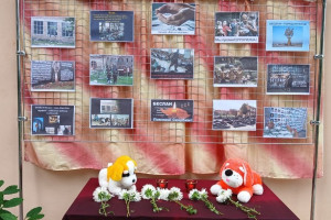 «Памяти жертвам террора» 