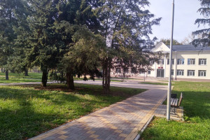 Конкурсно - игровая программа 