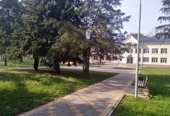 Фольклорный ансамбль 
