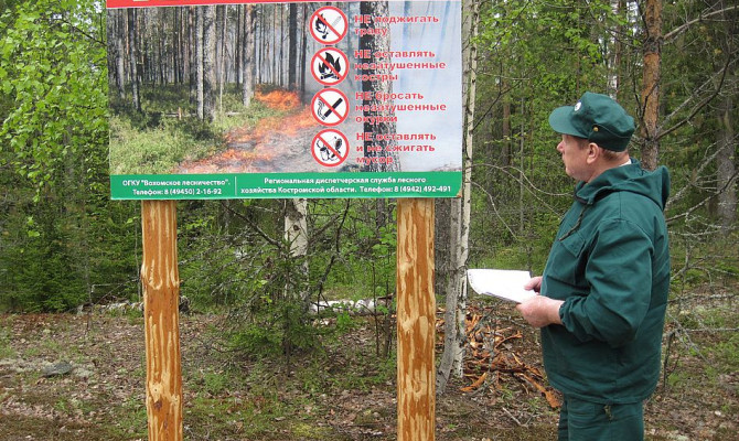 «Лес наше богатство». 