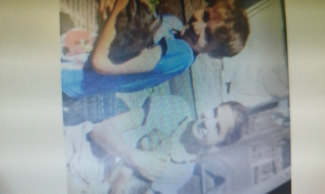 Беседа – диалог «Четвероногие друзья»