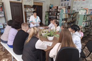 Час информации «Доктор Градусник советует»