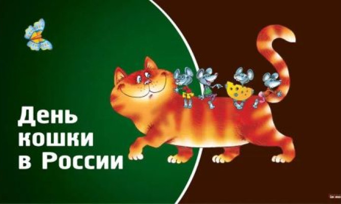 День кошек