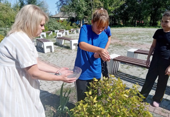 «Капля жизни»