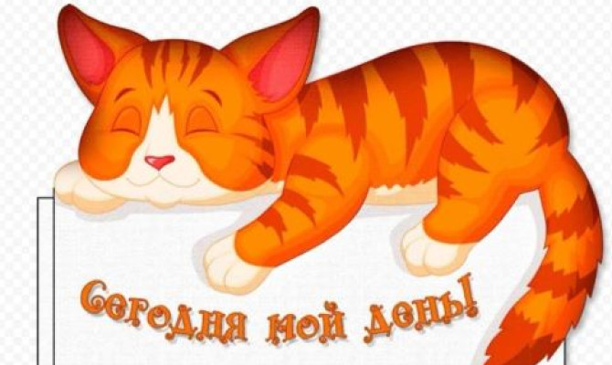 Тематическая программа 