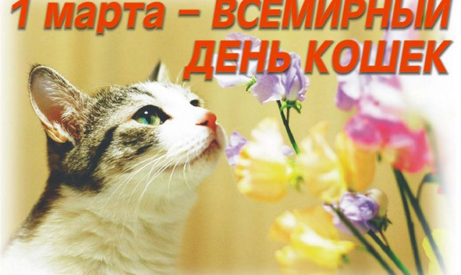 1 марта - Всемирный день кошек.