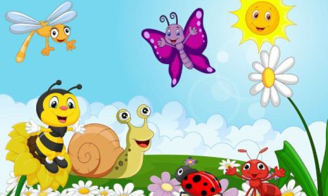 Экологический час 