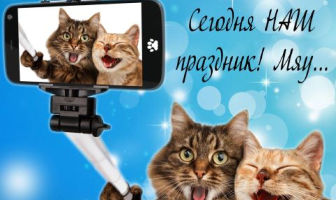 День кошек 