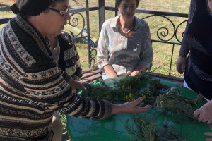 «Лекарь в вашем саду!» 