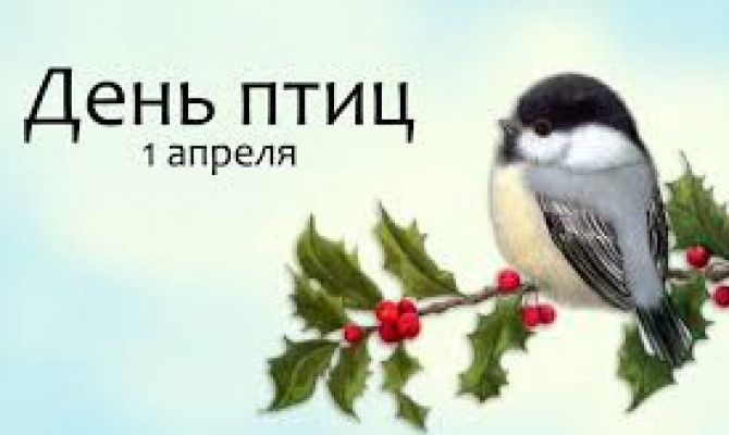 «Пернатые – хвостатые»