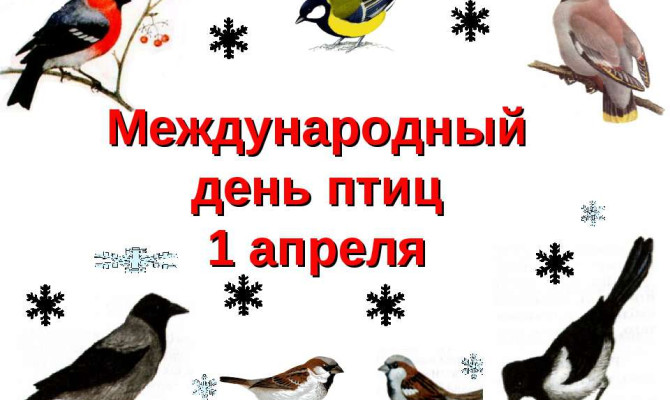 «Смех собирает гостей»