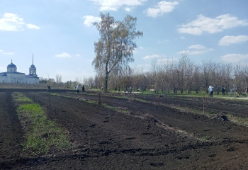 «Чистое село»