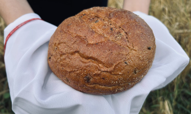 Фотоконкурс «От зернышка до каравая»