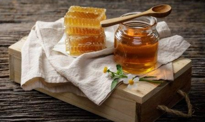 «Мед – природный целитель»