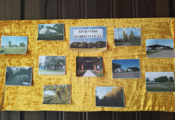 Фотоконкурс «Красоты родных улиц»