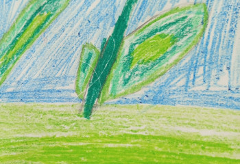 Мастер класс по изготовлению открыток 