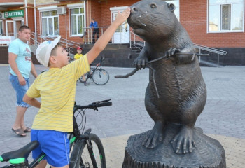 ОНФ | Воронежская область